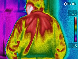 thermography of the back of a people