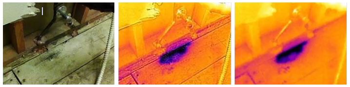 Flir One thermal image sample
