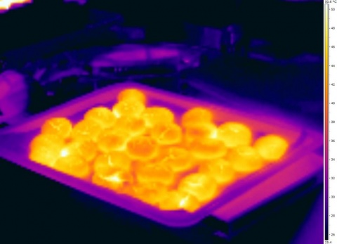 Thermal image in infrared of cookies
