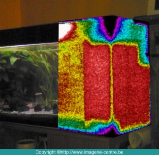 Thermographie fusionnée dans l'image en vision humaine de la partie bloc filtre d'un aquarium d'eau douce chauffé