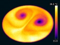 Thermographie eau double cyclone.jpg