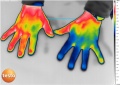 Hands-thermography-medical-TESTO-890.jpg