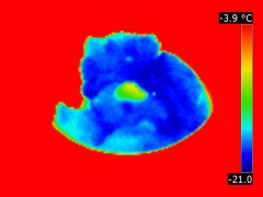 Image thermique du salage de glaçons à -16°C de T° de surface 21:07
