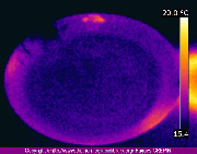 Eau thermographie animee.gif