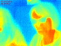 People-seek-thermal-thermography.jpg