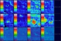 Fukushima-infrarouge-thermographie.jpg
